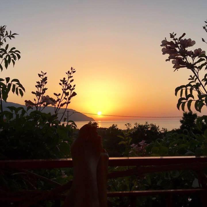 B&B Xenia ปัตตี ภายนอก รูปภาพ